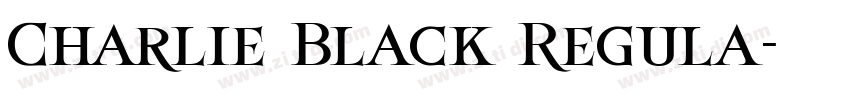 Charlie Black Regula字体转换